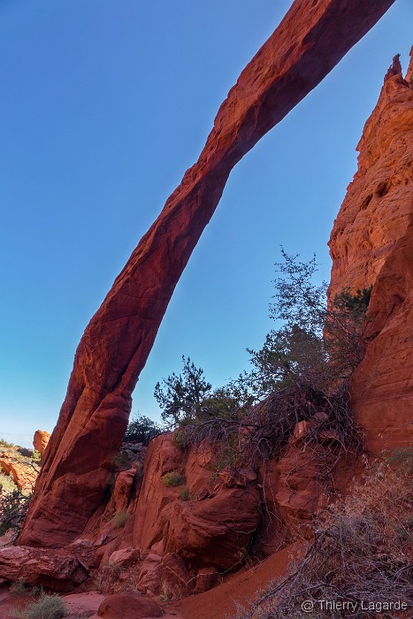 Vous avez atteint la derni�re diapositive