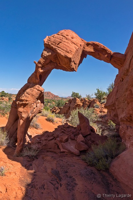 Diapositive suivante