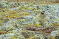 Filename=DSC09849R.jpg
Filesize=479KiB
Dimensions=1050x700
Date added=Mar 03, 2020 DSC09849R.jpg