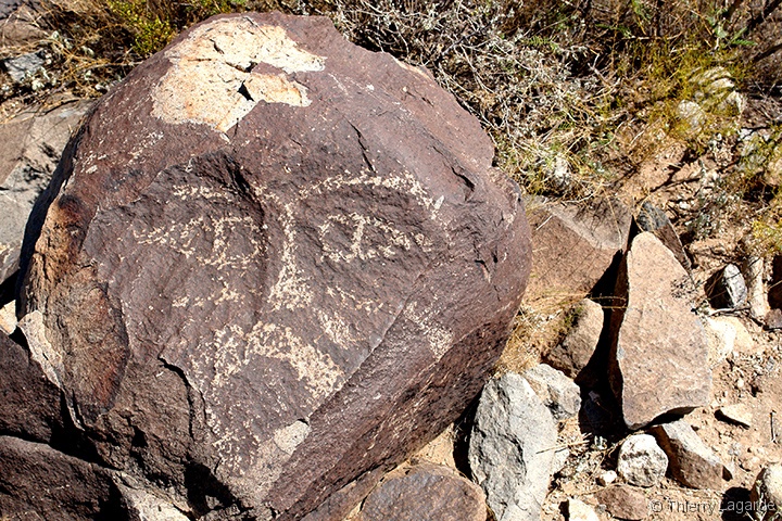 Diapositive suivante