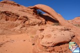 COBRA ARCH