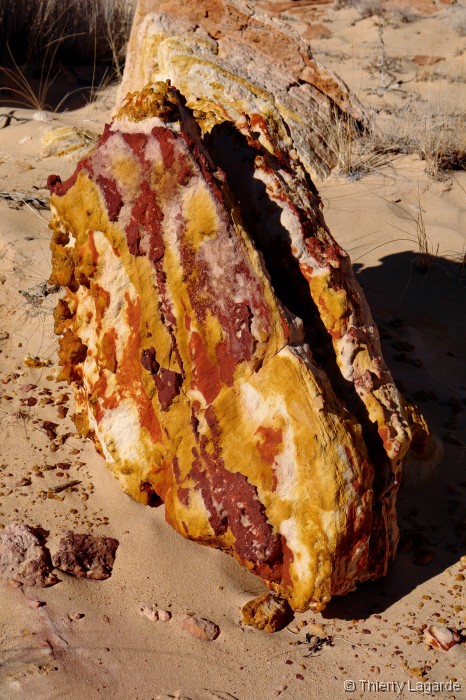 Diapositive suivante