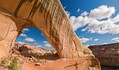 202310_lavender_pano1.jpg