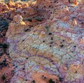 Filename=CBS_202310_pano5.jpg
Filesize=251KiB
Dimensions=707x700
Date added=Feb 18, 2024 CBS_202310_pano5.jpg