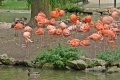 Filename=DSC43917.JPG
Filesize=348KiB
Dimensions=960x640
Date added=Sep 09, 2012 DSC43917.JPG