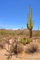 DSC01702R.jpg