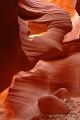 DSC02822R.JPG