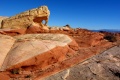 DSC72137rd_1.jpg