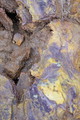 DSC09284r.jpg