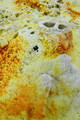 DSC09326R.jpg