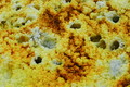 DSC09330R.jpg