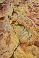 DSC09373R.jpg
