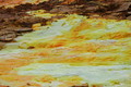 DSC09382R.jpg
