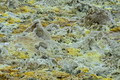 DSC09847R.jpg
