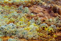 DSC09854R.jpg