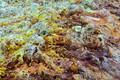 DSC09855R.jpg