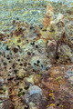 DSC09864R.jpg