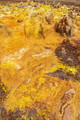 DSC09938R.jpg