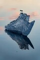 DSC_ISLANDE202108_05000R.jpg