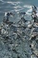 DSC_ISLANDE202108_05112RV1.jpg