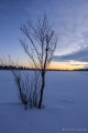 Filename=DSC03195R.jpg
Filesize=65KiB
Dimensions=427x640
Date added=Dec 28, 2015 DSC03195R.jpg
