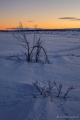 DSC03217R.jpg