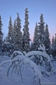 Filename=DSC03330R.JPG
Filesize=95KiB
Dimensions=427x640
Date added=Dec 28, 2015 DSC03330R.JPG