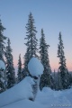 Filename=DSC03333R.jpg
Filesize=76KiB
Dimensions=427x640
Date added=Dec 28, 2015 DSC03333R.jpg