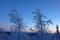 DSC03338R.JPG