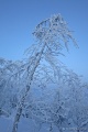 Filename=DSC03343R.JPG
Filesize=82KiB
Dimensions=427x640
Date added=Dec 28, 2015 DSC03343R.JPG