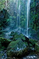DSC07837R.jpg