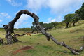 DSC07860R.jpg