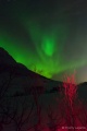 DSC201701_06763R-1.jpg