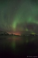 Filename=DSC201701_06843-2R.jpg
Filesize=38KiB
Dimensions=427x640
Date added=Feb 11, 2017 DSC201701_06843-2R.jpg