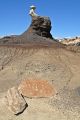 DSC05613R.jpg