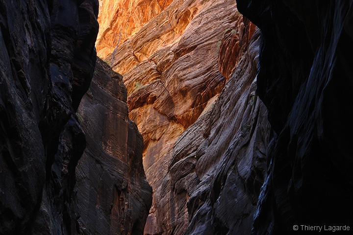 Diapositive suivante