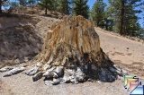 Florissant Bed Monument