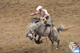 rodeo