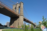 downtown and brooklyn