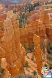 FAIRYLAND LOOP