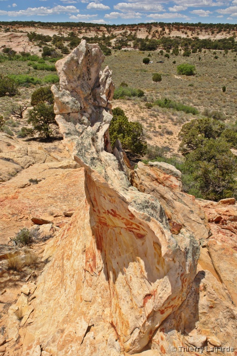 Diapositive suivante
