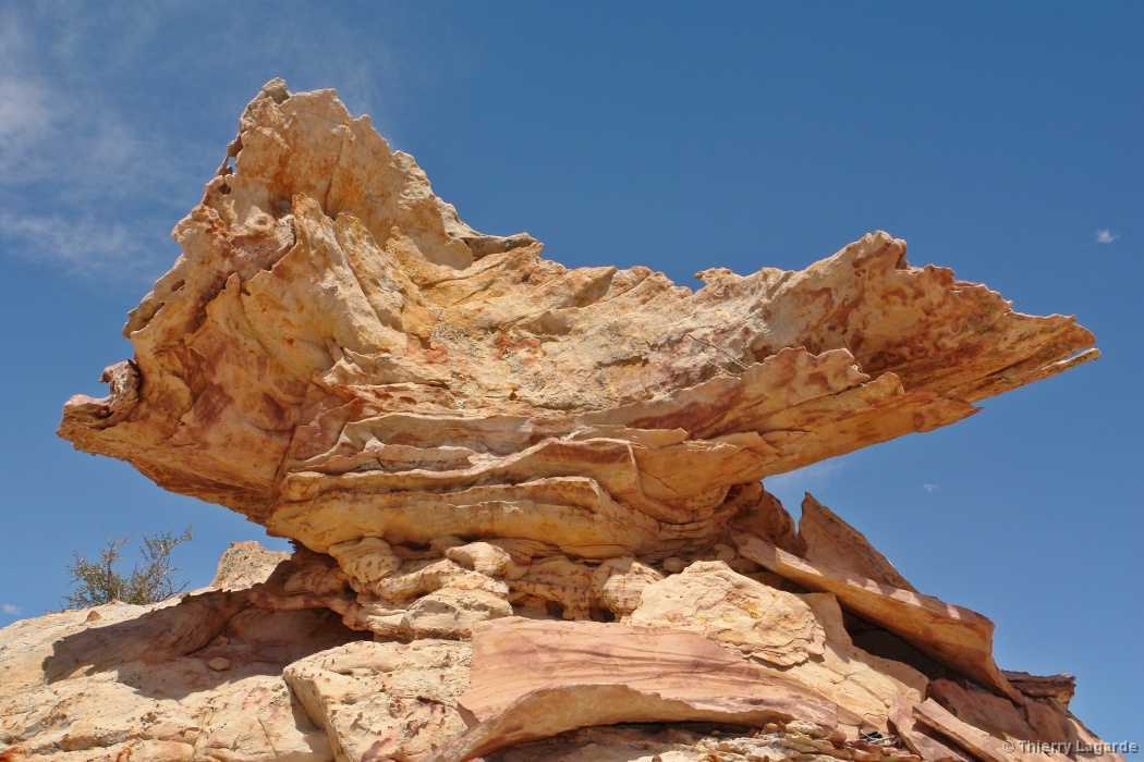 Diapositive suivante