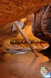 ZION