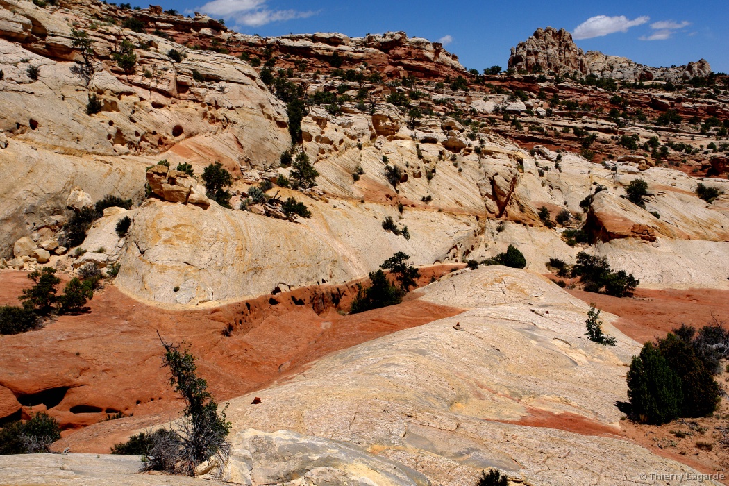 Diapositive suivante