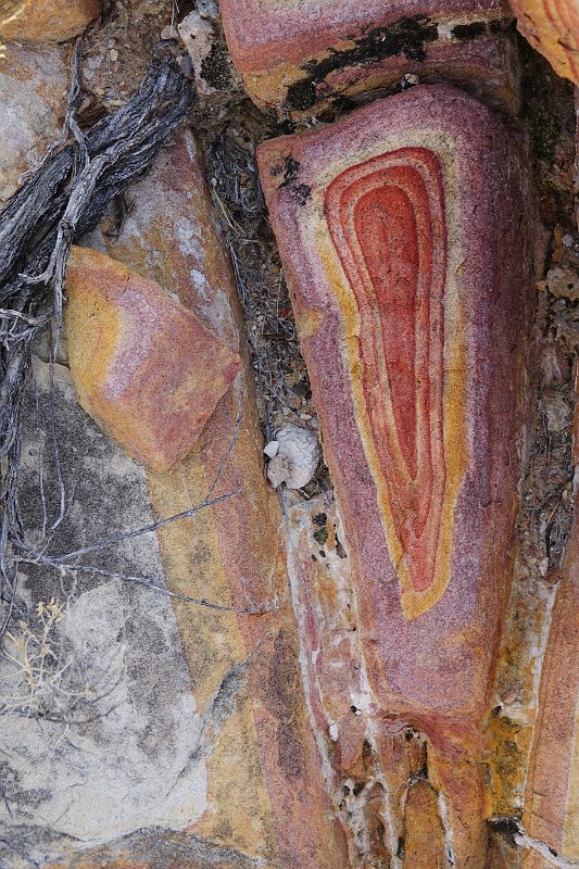 Diapositive suivante