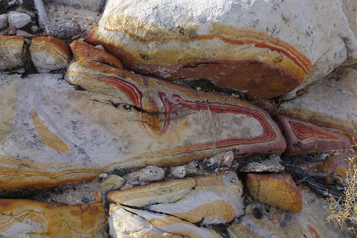 Diapositive suivante