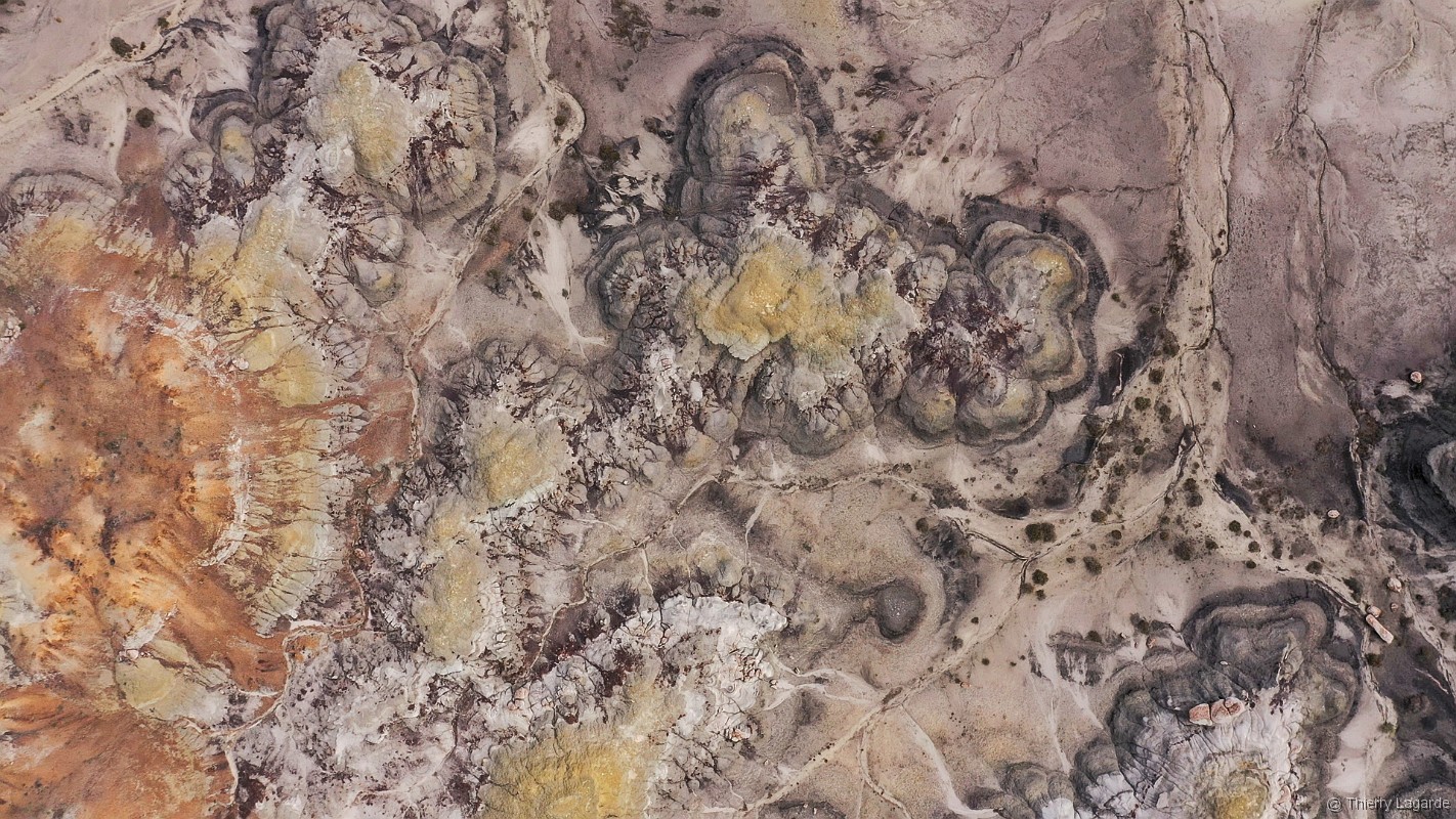 Diapositive suivante