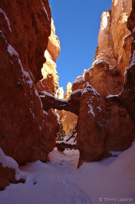 Diapositive suivante