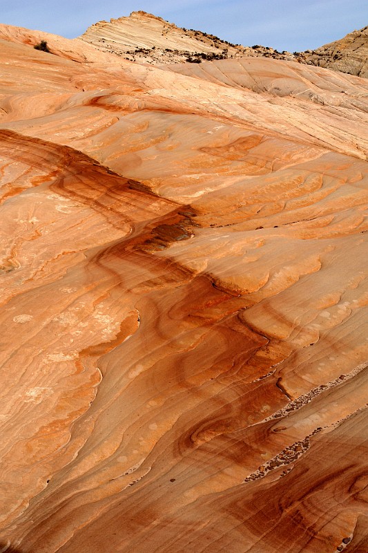 Diapositive suivante